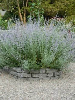 Rock Lock Interlocking Garden System, Curved Sets -Green Works Shop 8598737 04V tif