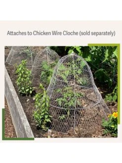 Chicken Wire Cloche Extension -Green Works Shop 8599107 2