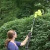 Sun Joe® Electric Telescoping Pole Hedge Trimmer, 4 Amp -Green Works Shop 8599169 01v sun joe electric telescoping pole hedge trimmer