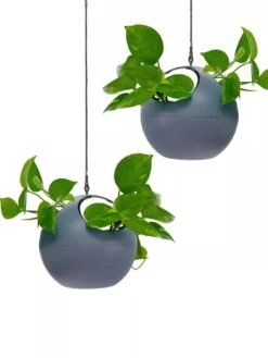 Exaco Euro Hanging Planters, Set Of 2 9 Exaco Euro Hanging Planters, Set Of 2 -Green Works Shop 8599179 04V tif
