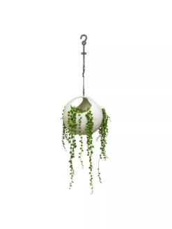 Exaco Euro Hanging Planters, Set Of 2 8 Exaco Euro Hanging Planters, Set Of 2 -Green Works Shop 8599179 06V tif