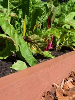 Straight Landscape Edging Kit With 2" Boards -Green Works Shop 8599408 02V tif