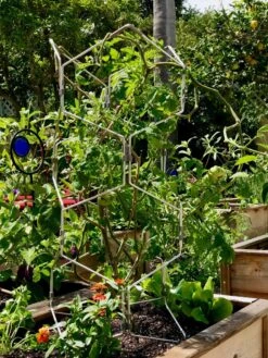 Gardener's Vertex Lifetime Pepper And Eggplant Cage -Green Works Shop 8599554 01CUST tif