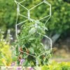 Gardener's Vertex Lifetime Pepper And Eggplant Cage -Green Works Shop 8599554 3000 tif