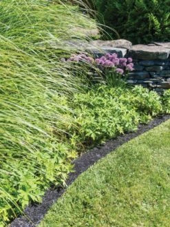 Recycled Rubber Mulch Edging, 12’ X 6” 9 Recycled Rubber Mulch Edging, 12’ X 6” -Green Works Shop 8599854 0897 tif