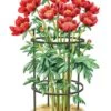 Titan Peony Supports, Medium, Set Of 2 -Green Works Shop 8599858 0001 art tif