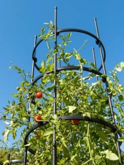 Titan Tall Tomato Cages, Set Of 3 -Green Works Shop 8599860 0066 tif