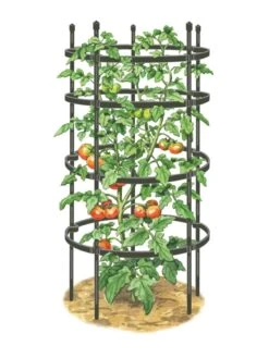 Titan Tomato Cages, Set Of 3 13 Titan Tomato Cages, Set Of 3 -Green Works Shop 8599861 0001 art tif