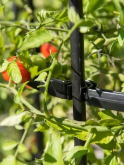 Titan Tomato Cages, Set Of 3 15 Titan Tomato Cages, Set Of 3 -Green Works Shop 8599861 0079 tif