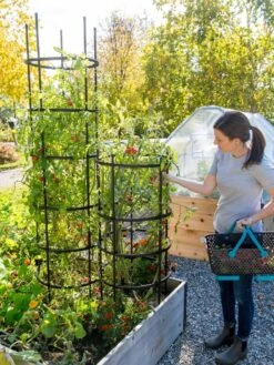 Titan Tomato Cages, Set Of 3 11 Titan Tomato Cages, Set Of 3 -Green Works Shop 8599861 0114 tif