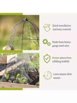 Chicken Wire Cloche With Extension -Green Works Shop 8600116 3