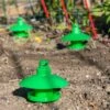 Slug And Snail Traps, Set Of 3 -Green Works Shop 8600120 1784 slug and snail traps set of 3