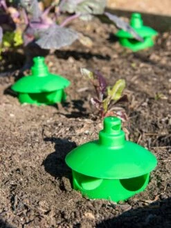 Slug And Snail Traps, Set Of 3 -Green Works Shop 8600120 1788