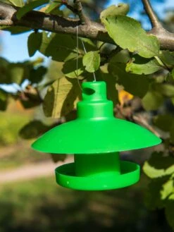 Slug And Snail Traps, Set Of 3 -Green Works Shop 8600120 1792