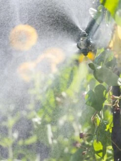 Landscape 4-Way Cooling Mist Kit, 50' -Green Works Shop 8600154 0695 tif