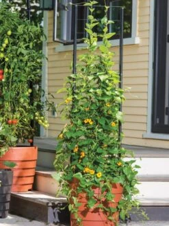 Gardener’s Victory Self-Watering Planter Garden With Vine Trellis -Green Works Shop 8600175 0733 tif