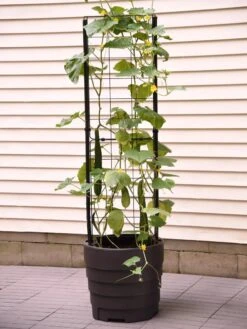 Gardener’s Victory Self-Watering Planter Garden With Vine Trellis -Green Works Shop 8600177 9876 tif
