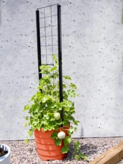 Gardener’s Victory Self-Watering Planter Garden With Vine Trellis -Green Works Shop 8600178 05487 tif