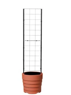 Gardener’s Victory Self-Watering Planter With Vine Trellis -Green Works Shop 8600178 7000 tif