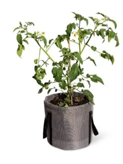 Reinforced Colorful Grow Bags -Green Works Shop 8600229 0944 tif