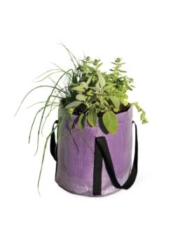 Reinforced Colorful Grow Bags -Green Works Shop 8600230 0948 tif