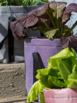 Reinforced Colorful Grow Bags -Green Works Shop 8600230 20013 tif