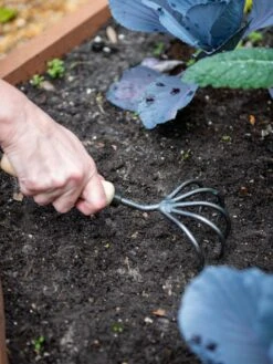 Gardener’s Lifetime 5-Tine Cultivator With Short Handle -Green Works Shop 8600305 2974