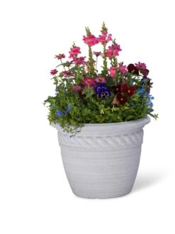 Cortina Self-Watering Planters -Green Works Shop 8600316 19838 tif