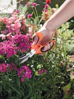 Gardener's Multi Purpose Scissors -Green Works Shop 8608655 19551 tif