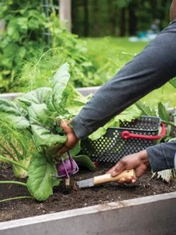Gardener's Lifetime Hori Hori Knife -Green Works Shop 8608888 0422 tif