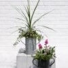 Metal Bucket Planters -Green Works Shop 8609086 5623 tif