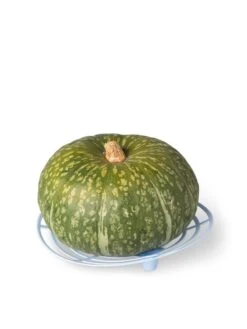 Melon And Squash Cradles, Set Of 6 -Green Works Shop 8609464 5204 tif