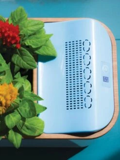 Dewplanter -Green Works Shop 8609512 Dewplanter