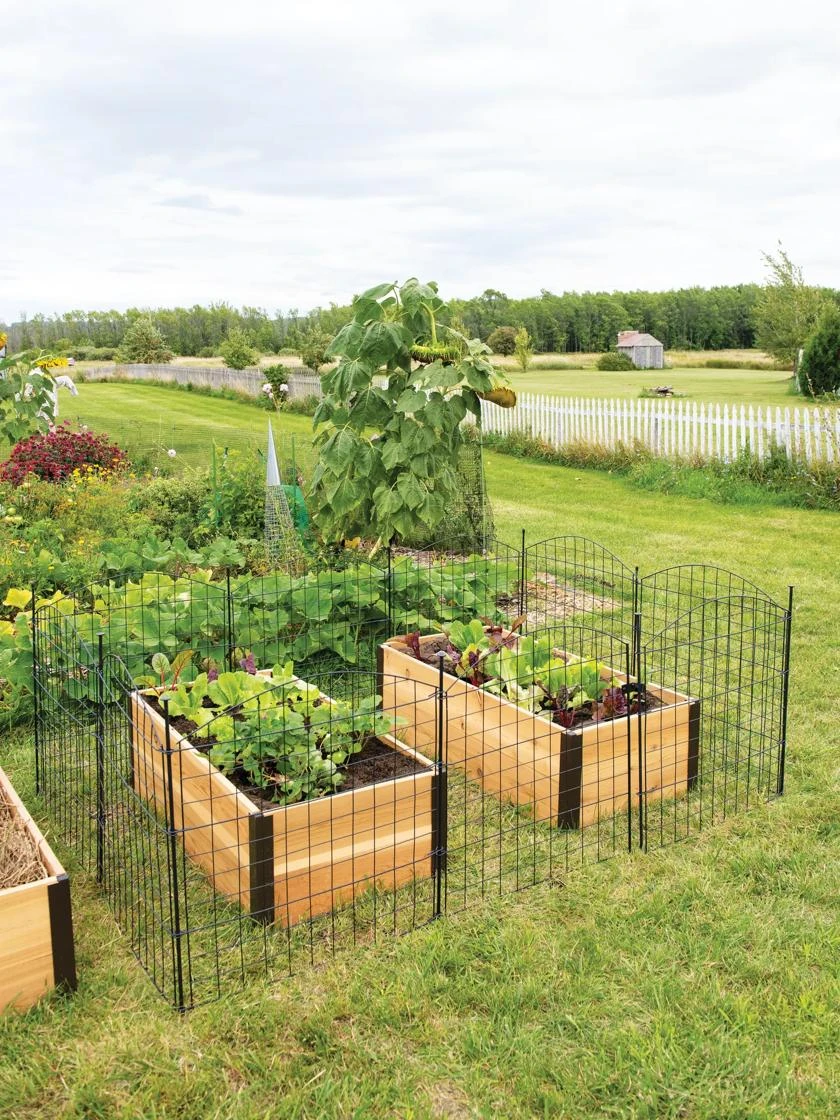 6 Panel Critter Fence With Gate 8 6 Panel Critter Fence With Gate - Image 6