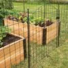 6 Panel Critter Fence With Gate