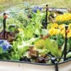 Raised Bed Bubblers Irrigation Kit -Green Works Shop 8610220 1172 tif