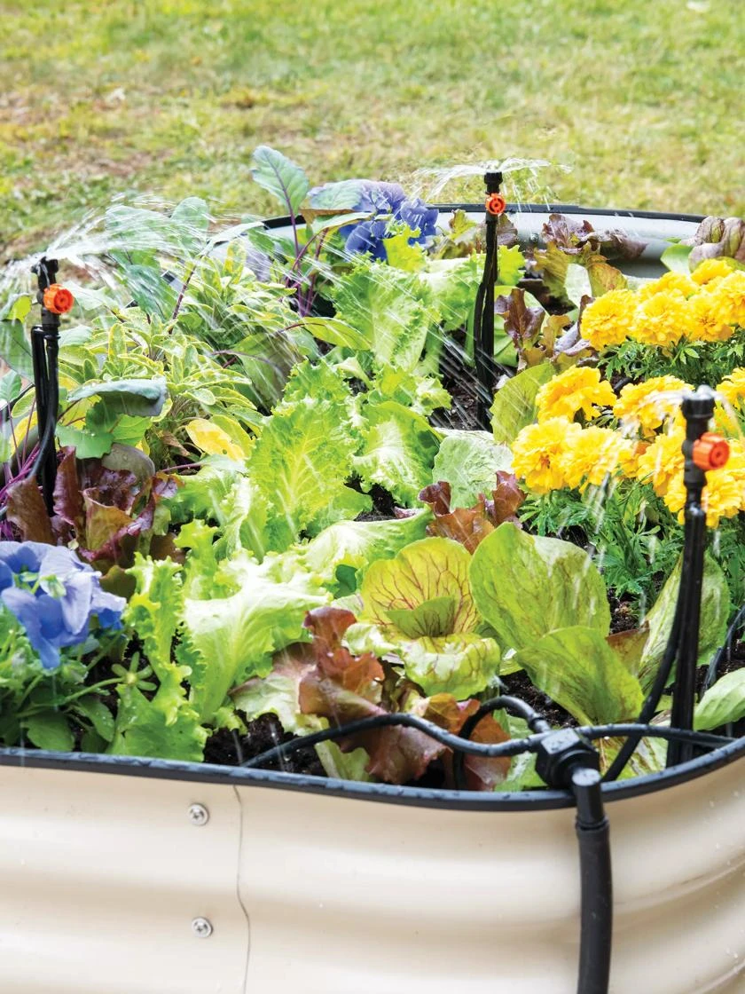 Green Works Shop -Green Works Shop 8610220 1172 tif