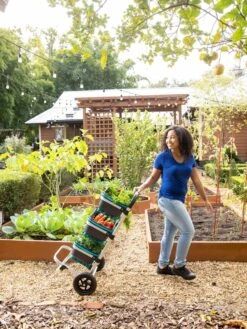 Mod Hod Trolley With Teal Mod Hods 9 Mod Hod Trolley With Teal Mod Hods -Green Works Shop 8610240 0070 tif