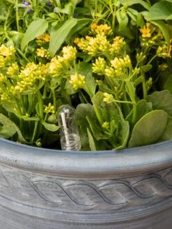 Adjustable Self-Watering Insert For Pots And Planters -Green Works Shop 8610250 0010 tif