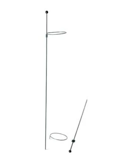 Peacock Mini Plant Support Rings 4", Set Of 2 14 Peacock Mini Plant Support Rings 4", Set Of 2 -Green Works Shop 8610386 9566