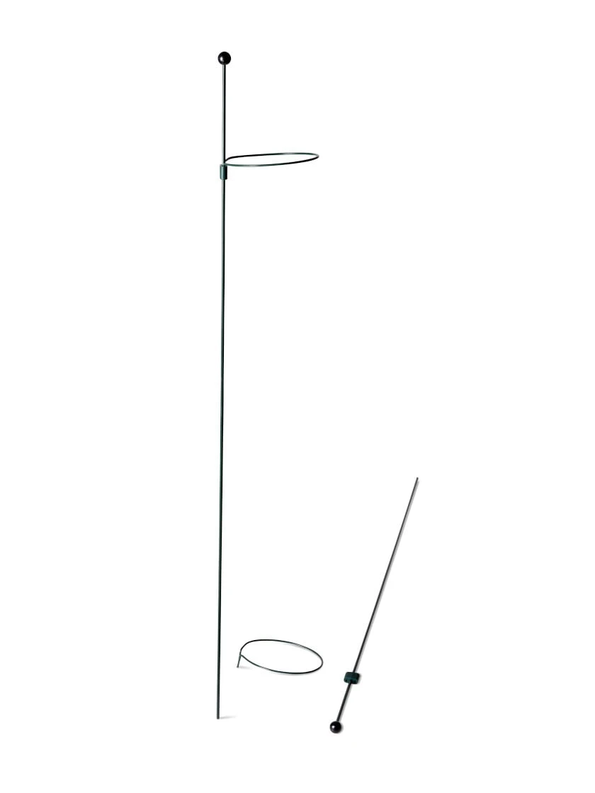 Peacock Mini Plant Support Rings 4", Set Of 2 7 Peacock Mini Plant Support Rings 4", Set Of 2 - Image 5