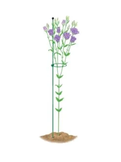 Peacock Mini Plant Support Rings 4", Set Of 2 12 Peacock Mini Plant Support Rings 4", Set Of 2 -Green Works Shop 8610386 peacock4x36