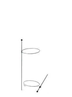 Peacock Mini Plant Support Rings 8", Set Of 2 -Green Works Shop 8610387 9571 tif