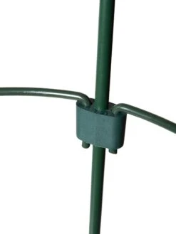 Peacock Mini Plant Support Rings 4", Set Of 2 17 Peacock Mini Plant Support Rings 4", Set Of 2 -Green Works Shop 8610387 9577