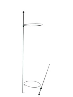 Peacock Mini Plant Support Rings 8", Set Of 2 -Green Works Shop 8610388 9565 tif