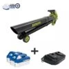 Sun Joe 24V-X2-BVM143 48-Volt ION+ Cordless Blower Vacuum Mulcher Kit 1 Sun Joe 24V-X2-BVM143 48-Volt ION+ Cordless Blower Vacuum Mulcher Kit -Green Works Shop 8610664 01V sun joe 48 volt cordless blower vacuum mulcher kit