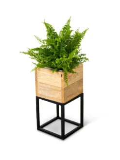 Tartu Elevated Square Planters -Green Works Shop 8611004 038
