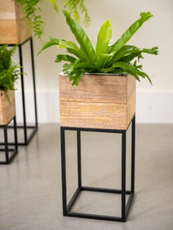 Tartu Elevated Square Planters -Green Works Shop 8611005 035