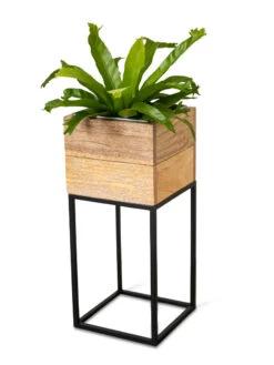Tartu Elevated Square Planters -Green Works Shop 8611005 036