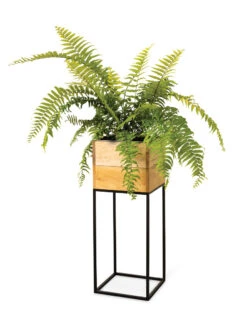 Tartu Elevated Square Planters -Green Works Shop 8611006 033